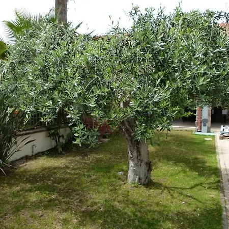Casa Elena *